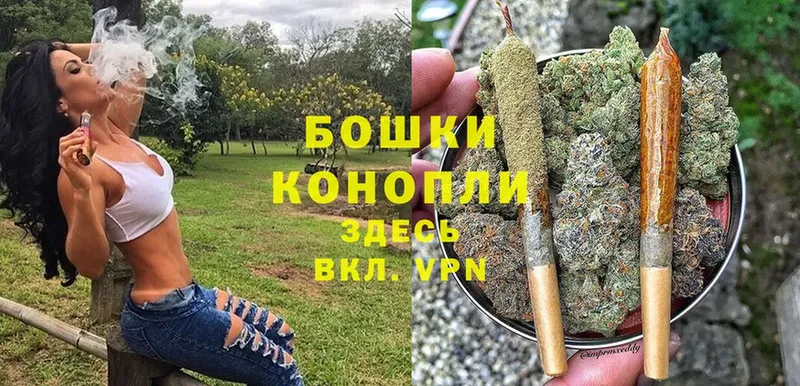 Шишки марихуана THC 21%  купить закладку  Балтийск 